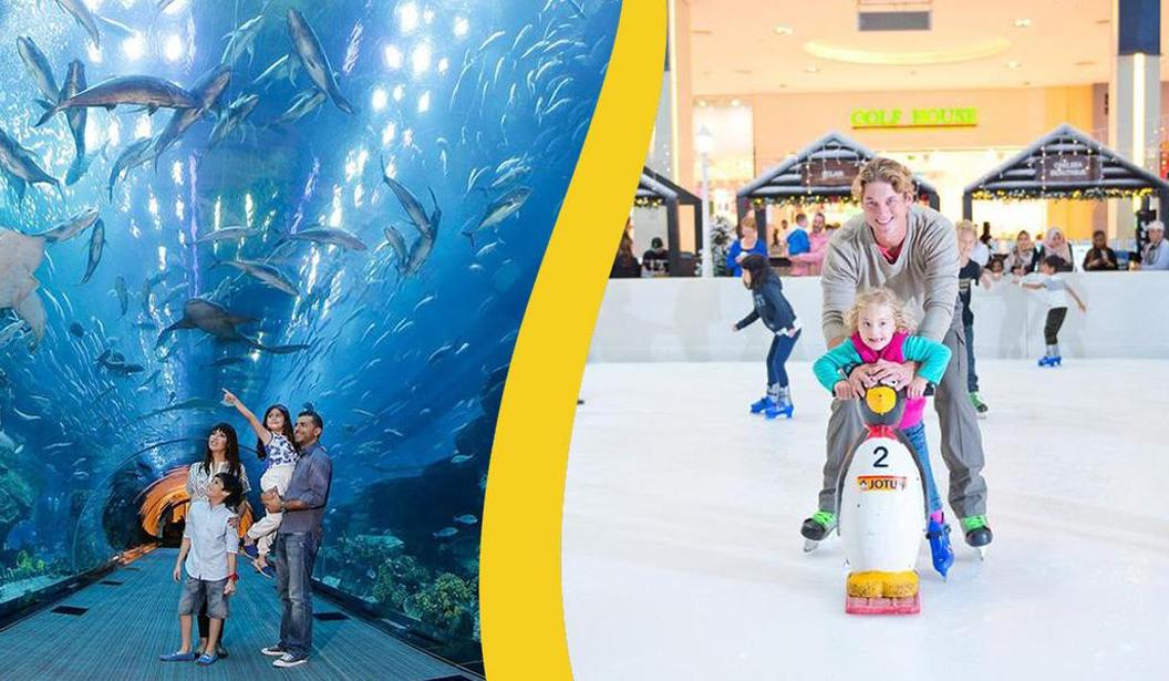 Combo Offer: Dubai Aquarium + Dubai Ice Rink