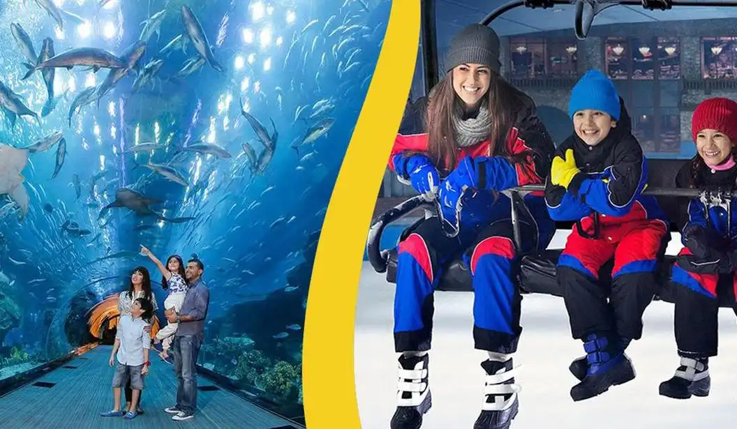Combo Offer: Dubai Aquarium + Ski Dubai