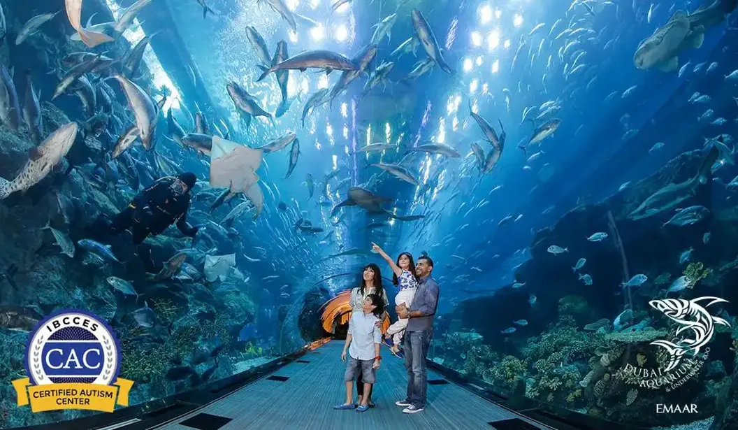 Special Offer: Dubai Aquarium