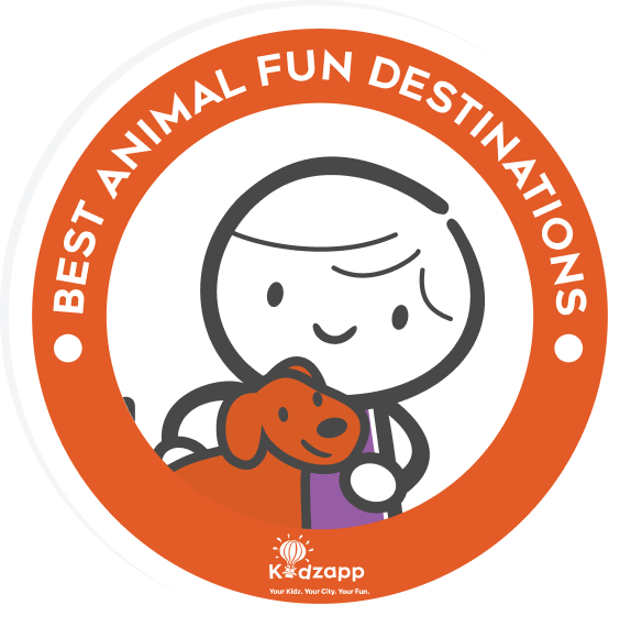 Awards Category