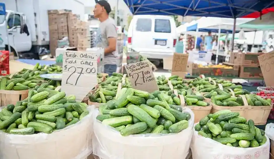 North York Farmers' Market, Mel Lastman Square (Thursdays)