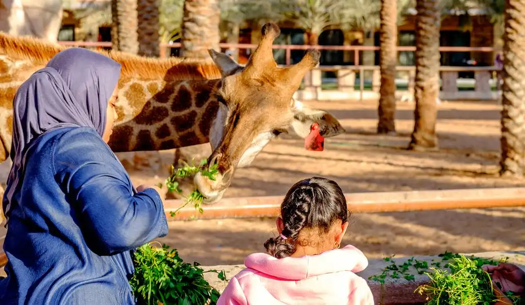 Emirates Park Zoo in UAE