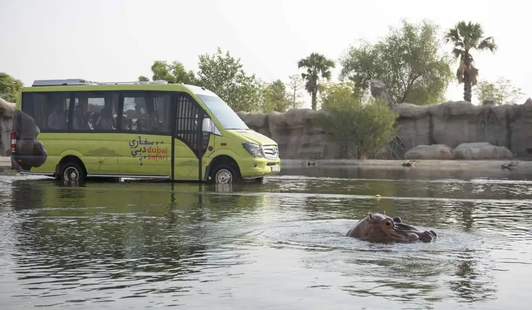 dubai safari park car